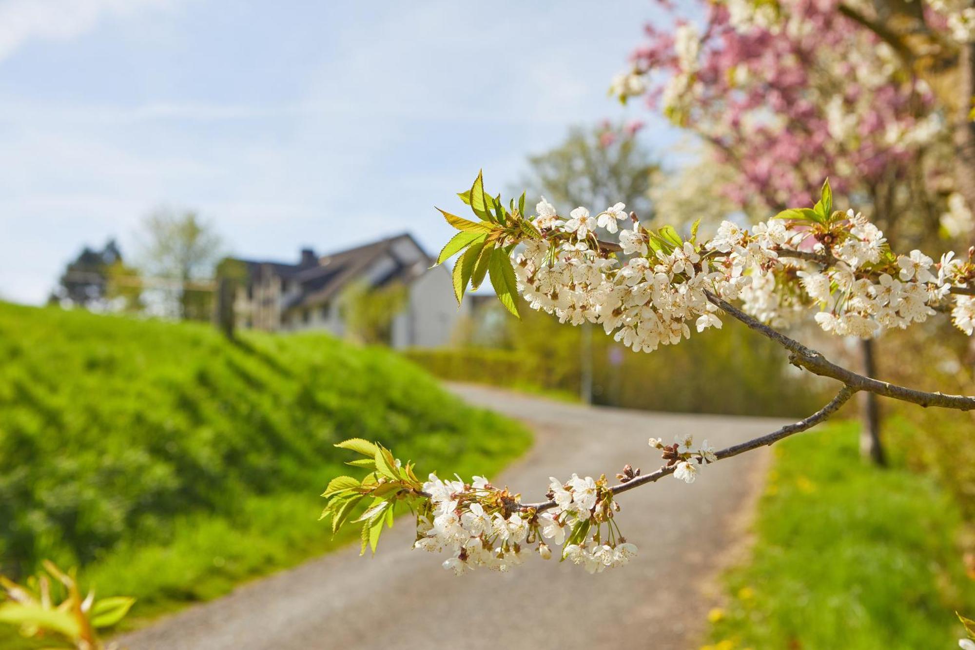 Hotel Sonneck Knullwald ภายนอก รูปภาพ